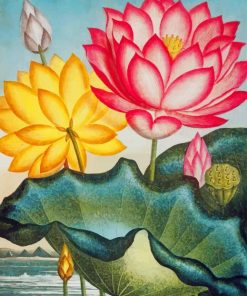 Water Lily Art Paint By Number