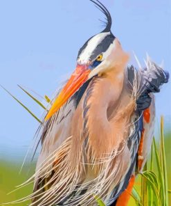 Blue Heron Bird paint by number