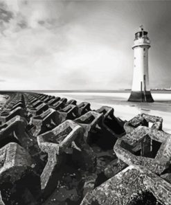 Black And White New Brighton Lighthouse paint by number