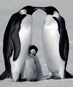 Black And White Penguins Family paint by number