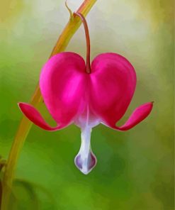 Bleeding Heart Plant paint by number