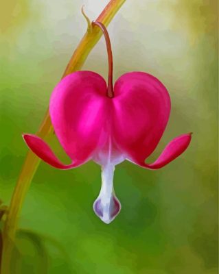 Bleeding Heart Plant paint by number