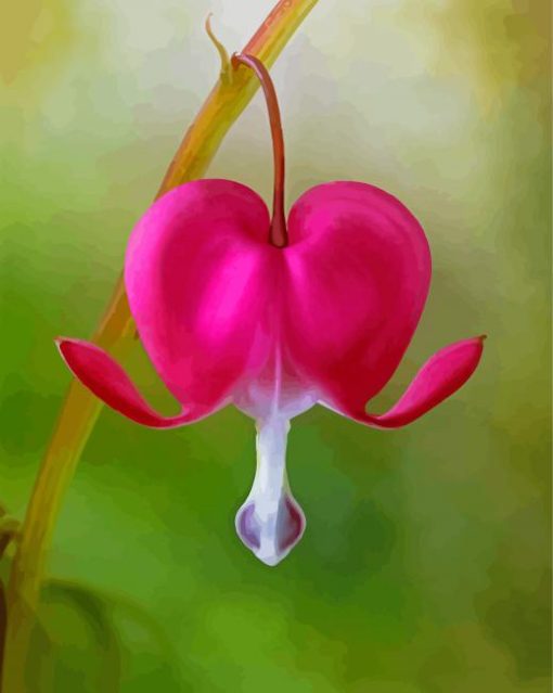 Bleeding Heart Plant paint by number