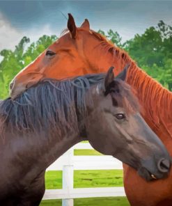 Couple Horses In Love paint by number