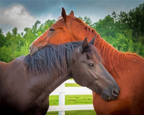 Couple Horses In Love paint by number