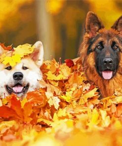 Dogs In Autumn Leaves paint by number