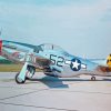 P51 Mustang Fighter paint by number