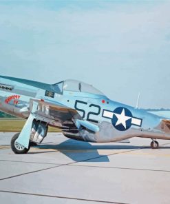 P51 Mustang Fighter paint by number