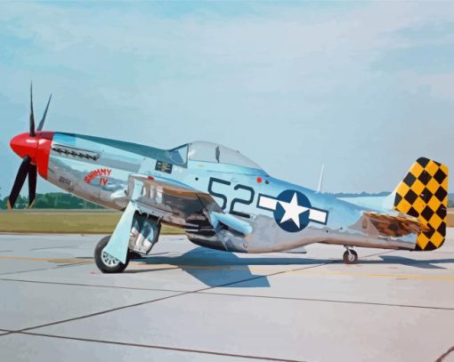 P51 Mustang Fighter paint by number