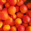 Apricots paint by number