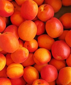 Apricots paint by number