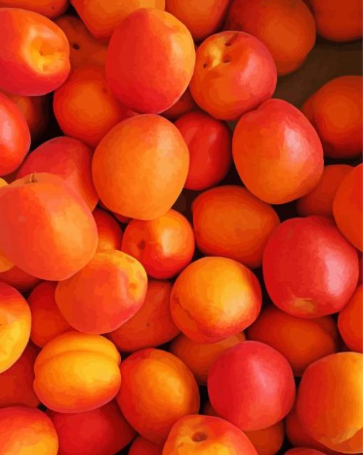 Apricots paint by number