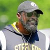 Cool Mike Tomlin paint by number