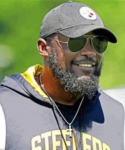 Cool Mike Tomlin paint by number