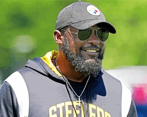 Cool Mike Tomlin paint by number