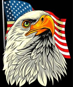 Eagle Head And Usa Flag paint by number