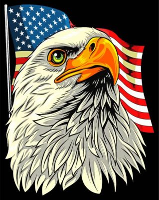 Eagle Head And Usa Flag paint by number