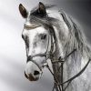 Grey Mare Horse Paint by number