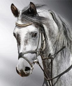 Grey Mare Horse Paint by number