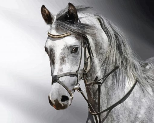 Grey Mare Horse Paint by number