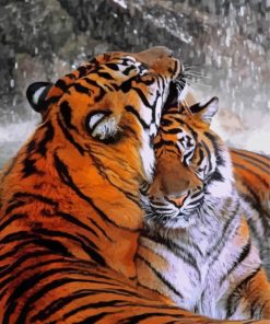 Romantic Tiger Couple Paint by number