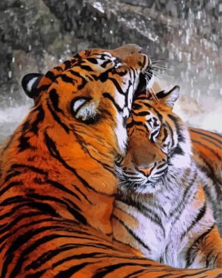 Romantic Tiger Couple Paint by number