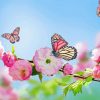 Spring Flowers With Butterflies paint by number