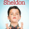 Young Sheldon Poster Paint by number