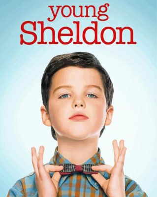 Young Sheldon Poster Paint by number