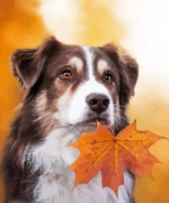 Dog In Autumn Paint By Numbers