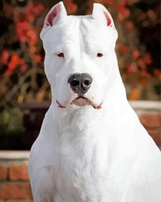 Dogo Argentino Puppy paint by number