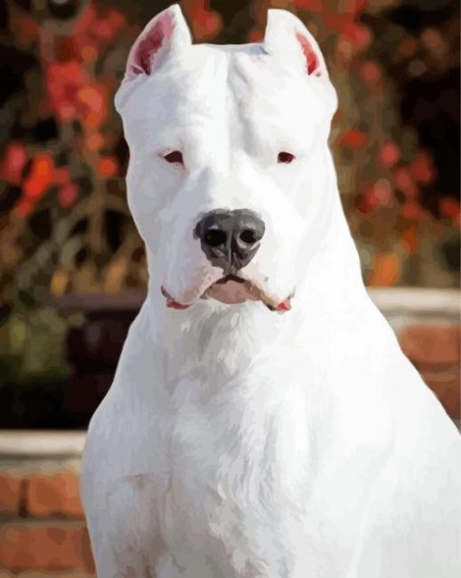 Dogo Argentino Puppy paint by number