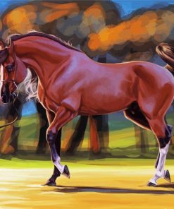 Mare Horse Art Paint by number