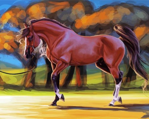 Mare Horse Art Paint by number