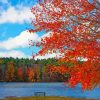 Autumn New England Lake Scene paint by number