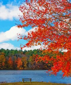 Autumn New England Lake Scene paint by number