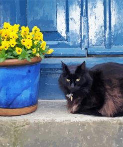 Black Cats And Flowers In Pot paint by number