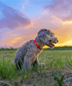 Cute Bedlington Terrier paint by number