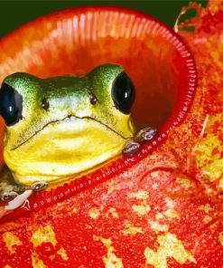 Frog In Pitcher Plant paint by number