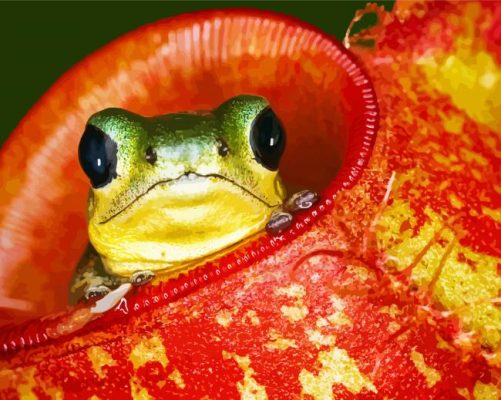 Frog In Pitcher Plant paint by number