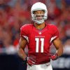 American Footballer Larry Fitzgerald paint by number