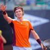 Andrey Rublev Tennis Player Paint by number