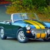 Austin Healey Sprite paint by number