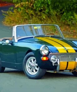 Austin Healey Sprite paint by number