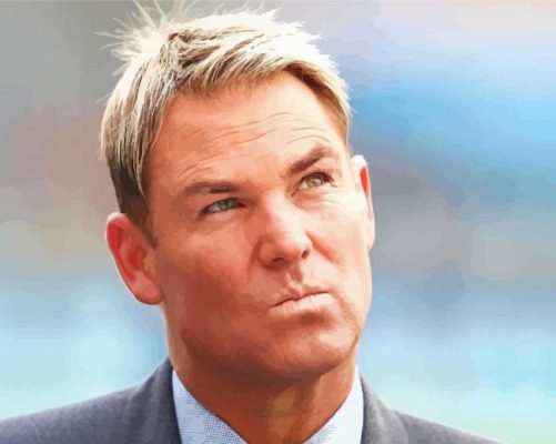 Australian Shane Warne paint by number