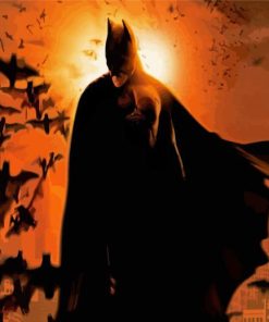 Batman Begins paint by number