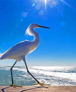 Bird On Beach Seascape paint by number