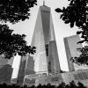 Black And White Freedom Tower Paint by number