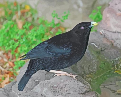 Black Bowerbird paint by number