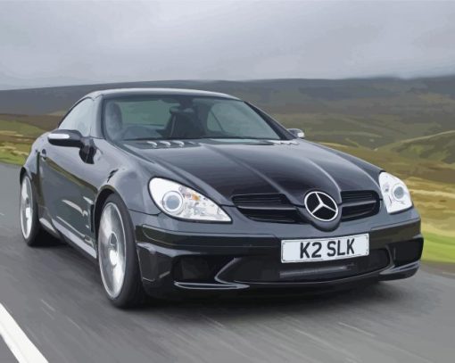 Black Mercedes Slk With Landscape paint by number